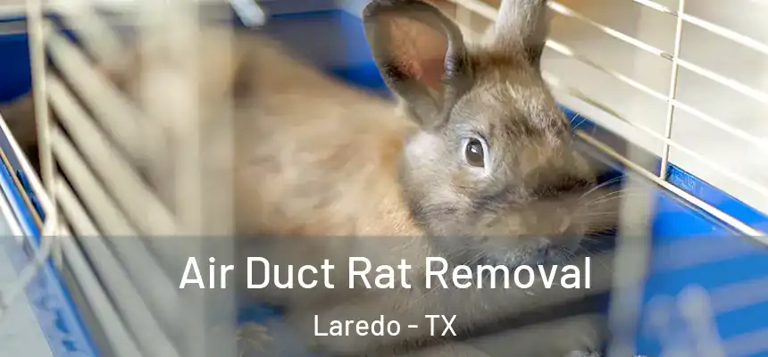  Air Duct Rat Removal Laredo - TX