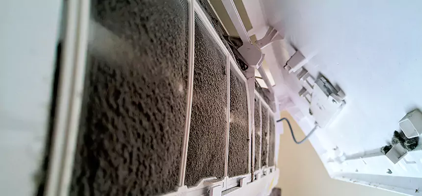 Preventive Air Duct Bacteria Removal in Laredo