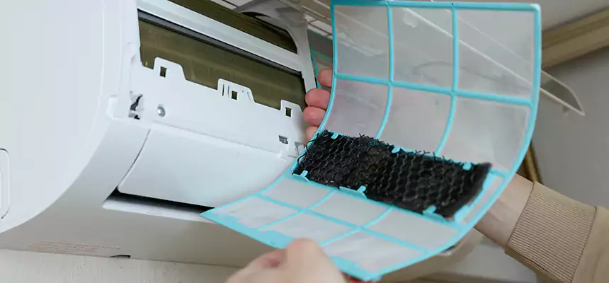 Gentle Ductwork Odor-Control Pet Dander Duct Cleaning in Laredo, TX