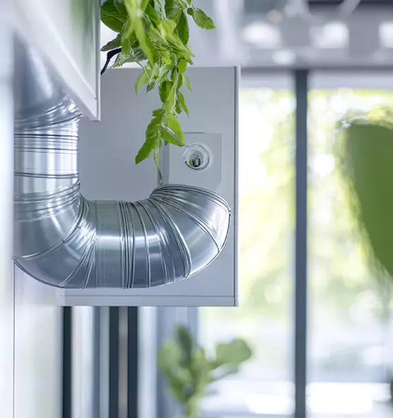 Professional Eco-Friendly Duct Cleaning Services in Laredo, TX