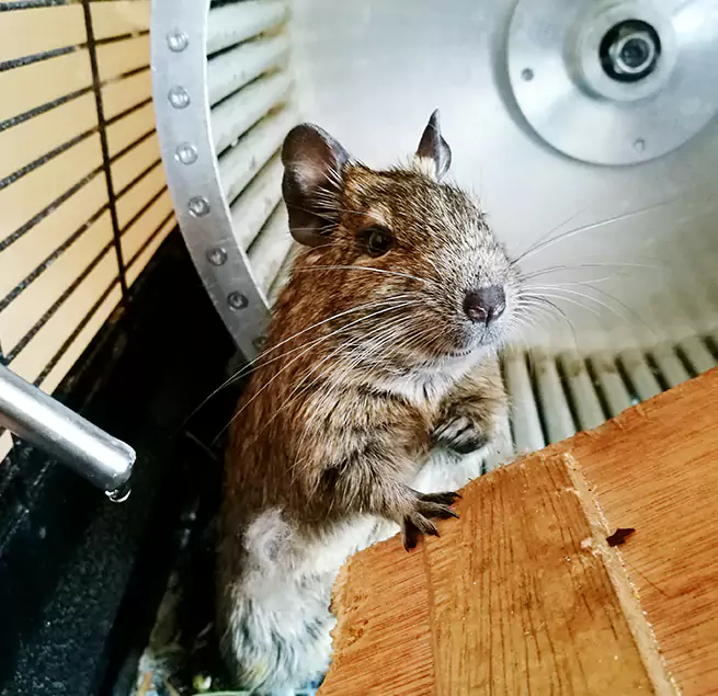 Why Homeowners & Businesses Trust Us Laredo, TX